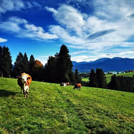 Apartment Alpen Auszeit *