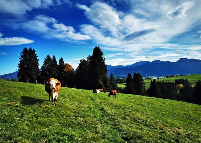 Апартаменты Alpen Auszeit *